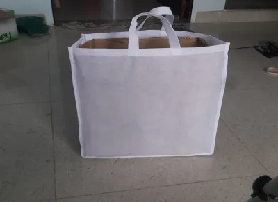 Front View- White Non woven Bag 18x16 in size with loop handle