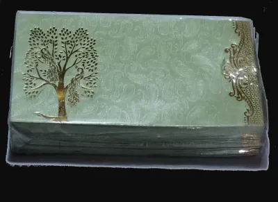 Fancy Mettelic Envelop for Gift
